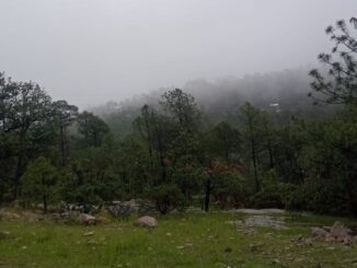 Se mantiene alerta ante pronóstico de lluvias fuertes para este domingo