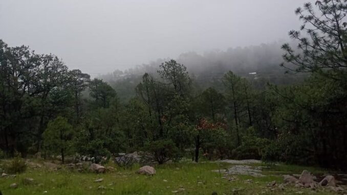 Se mantiene alerta ante pronóstico de lluvias fuertes para este domingo