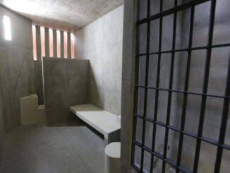 Austin Wolf, actor porno, es sentenciado a 19 años de prisión en EE.UU. por explotación sexual infantil