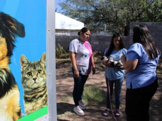 Esteriliza Gobierno Municipal a 48 mascotas durante jornada de salud en Labor de Terrazas