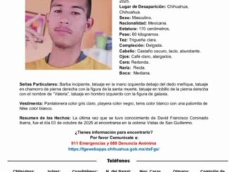 David Francisco Coronado Ibarra