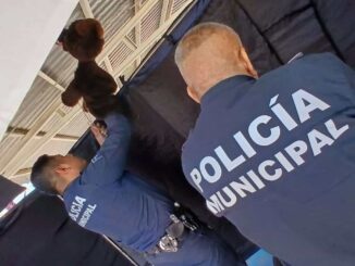 Fomentan valores cívicos con Teatrino en preescolares