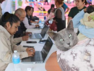 Llevará Gobierno Municipal servicios de salud para mascotas a la colonia Nombre de Dios
