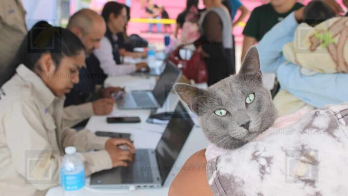 Llevará Gobierno Municipal servicios de salud para mascotas a la colonia Nombre de Dios