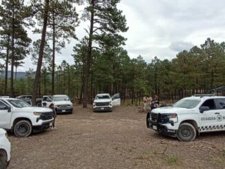 Mantiene FGE y CLB búsqueda de personas en la región sur