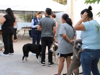 Vacuna Municipio a más de 200 mascotas en colonia Nombre de Dios