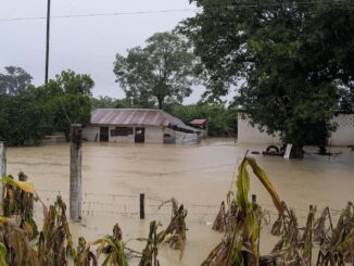 Gobierno estima en 100 mil las viviendas afectadas por lluvias en cinco entidades