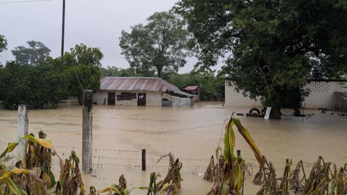 Gobierno estima en 100 mil las viviendas afectadas por lluvias en cinco entidades