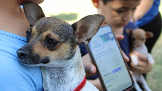 Brindará Gobierno Municipal servicios gratuitos para mascotas en Punta Oriente
