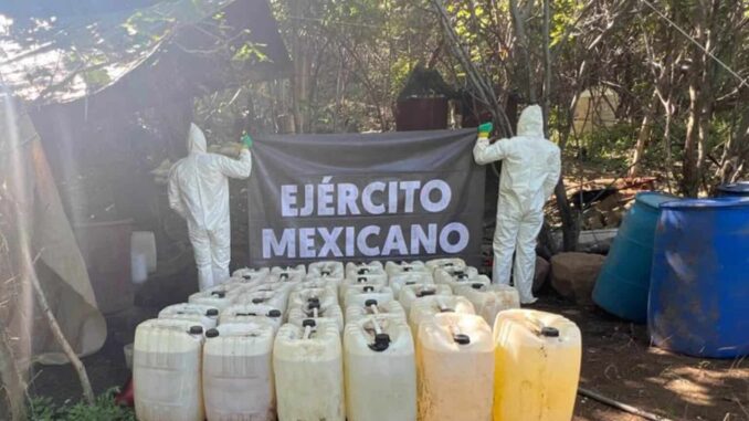 Inhabilitan laboratorio clandestino en Michoacán; afectación a delincuencia es de más de 3 mil mdp