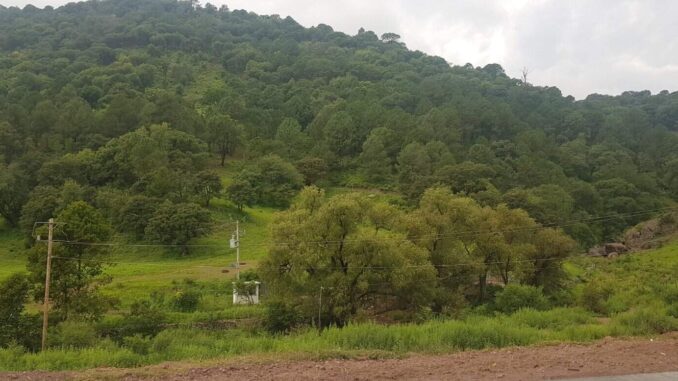 Provocarán frentes fríos 8 y 9 descenso de temperatura en la Sierra Tarahumara