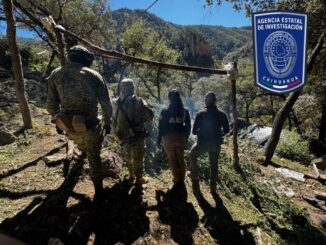 Aseguran plantíos de mariguana y campamentos al norte del municipio de Chihuahua