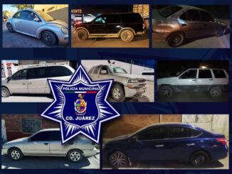 Aseguran ocho autos robados tras denuncias ciudadanas