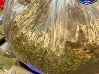 Detienen en cateo a tres por delitos contra la salud en la colonia San Antonio de las Huertas