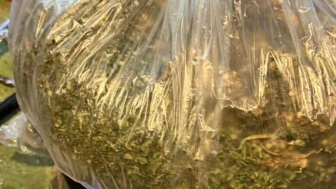 Detienen en cateo a tres por delitos contra la salud en la colonia San Antonio de las Huertas