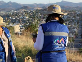 Ha reforzado Gobierno Municipal acciones por el medio ambiente en últimos cuatro meses