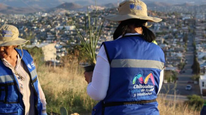 Ha reforzado Gobierno Municipal acciones por el medio ambiente en últimos cuatro meses