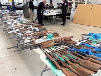 EE.UU. decomisa 400 armas que tenían como destino México