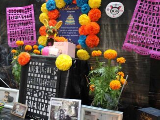 Recuerdan policías a los compañeros de cuatro patas que dejaron huella