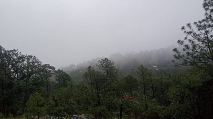 Ingreso de frente frío 11 a la entidad generará heladas en la zona serrana