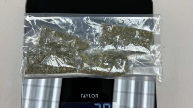 Detiene AEI a masculino en posesión de marihuana y metanfetaminas en la colonia Jardines de Roma