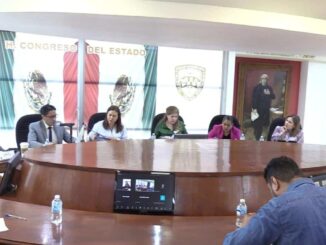 Presenta CEAVE al Congreso, propuesta para armonizar leyes de protección a Niñas, Niños y Adolescentes