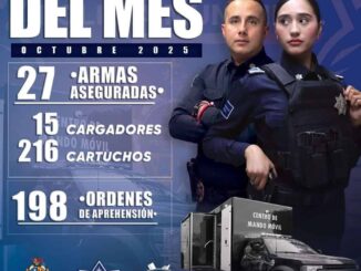 Aseguran 27 armas y más de 200 cartuchos útiles en un mes