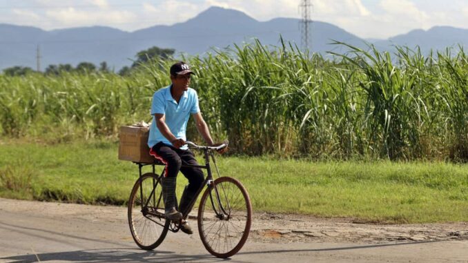México impone aranceles de entre 156 % y 210 % a las importaciones de azúcar