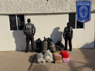 Asegura AEI más de 70 kilogramos de mariguana en Hidalgo del Parral