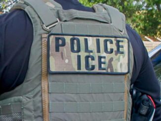 ICE realiza redada en Nueva York y apunta con armas a mujer e hijos, según medios