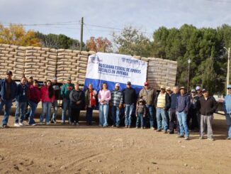 Entrega Coesvi 375 toneladas de cemento para apoyar familias chihuahuenses en seis municipios