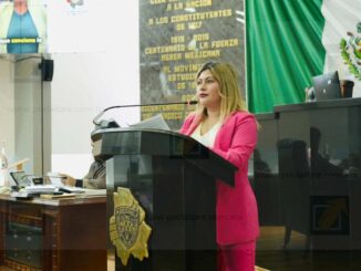Diputada Irlanda presenta Ley Vicaria