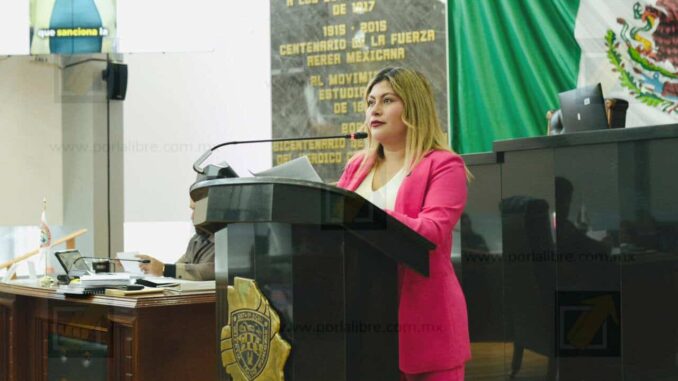 Diputada Irlanda presenta Ley Vicaria