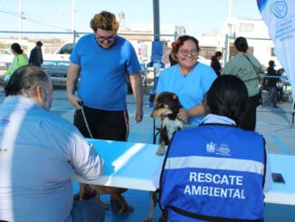 Brinda Municipio servicios gratuitos para animales de compañía en Minerales