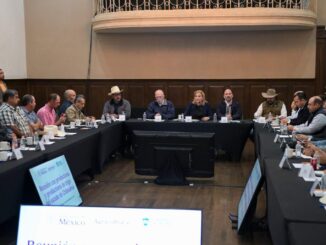 Maru Campos y el secretario de Agricultura federal se reúnen con productores de trigo
