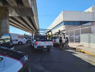Convoy federal traslada entre 9 a 11 agresores detenidos en operativo de El Pueblito de Aldama 