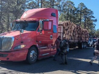 Célula BOII  asegura camión cargado con trozos de madera en carretera de Guachochi