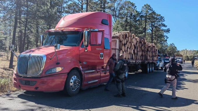 Célula BOII  asegura camión cargado con trozos de madera en carretera de Guachochi