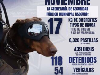 Reportan resultados de noviembre en aseguramiento de droga y recuperación de vehículos