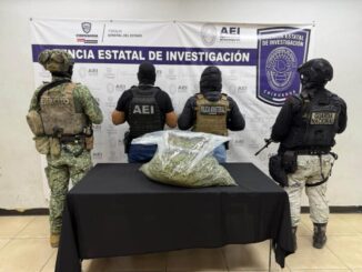 Asegura COE más de 10 kilos de marihuana en Cd. Juárez