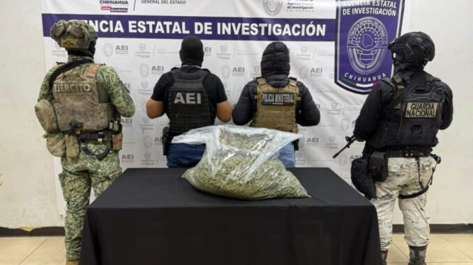Asegura COE más de 10 kilos de marihuana en Cd. Juárez