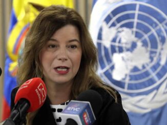 ONU Mujeres urge a «cortar la cadena» de violencia digital y tipificarla en Latinoamérica