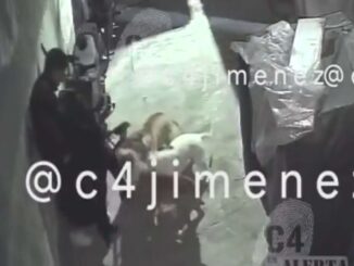 Perros pitbull atacan a mujer en Tláhuac, CDMX