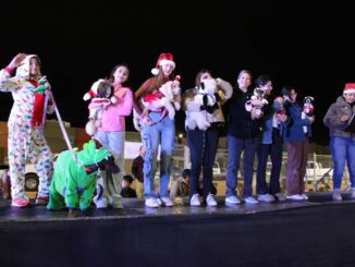 Perros y gatos encuentran familia en evento “Navidad de Pelos” del Gobierno Municipal