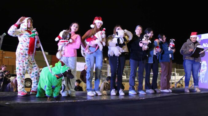 Perros y gatos encuentran familia en evento “Navidad de Pelos” del Gobierno Municipal