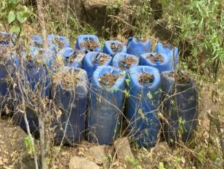 Inhabilitan 5 áreas de concentración en Sinaloa; afectación a delincuencia es de 113 mdp