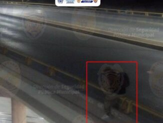 Salvan policías municipales vidas mediante intervenciones oportunas y humanas