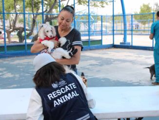 Servicios gratuitos para perros y gatos llevará Municipio a Riberas de Sacramento