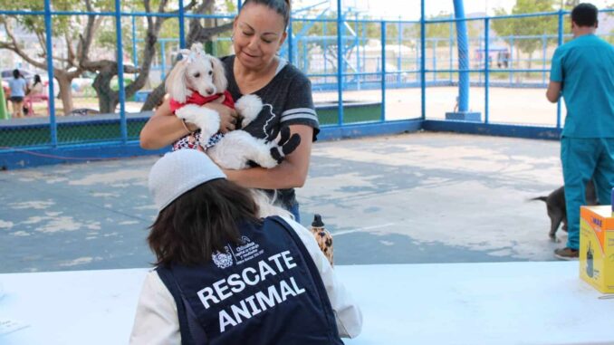 Servicios gratuitos para perros y gatos llevará Municipio a Riberas de Sacramento