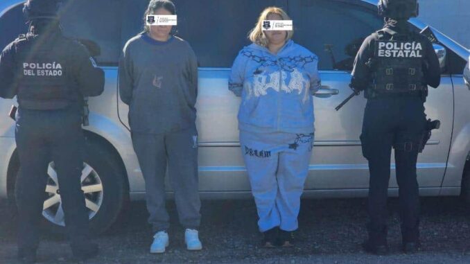 Detienen a dos mujeres por «delitos contra la seguridad» en Madera